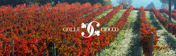 Colle Ciocco: Ihr Wein aus Montefalco